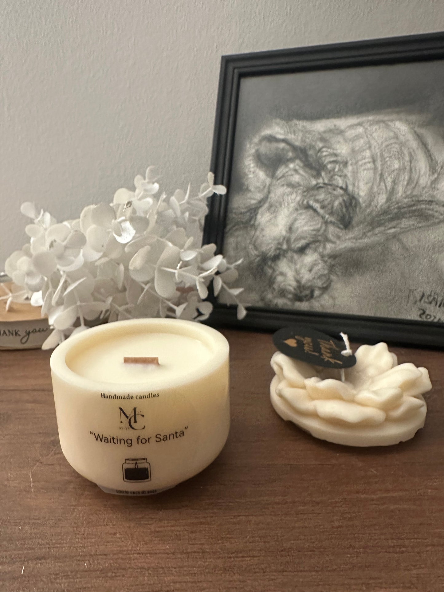 “La meravigliosa”