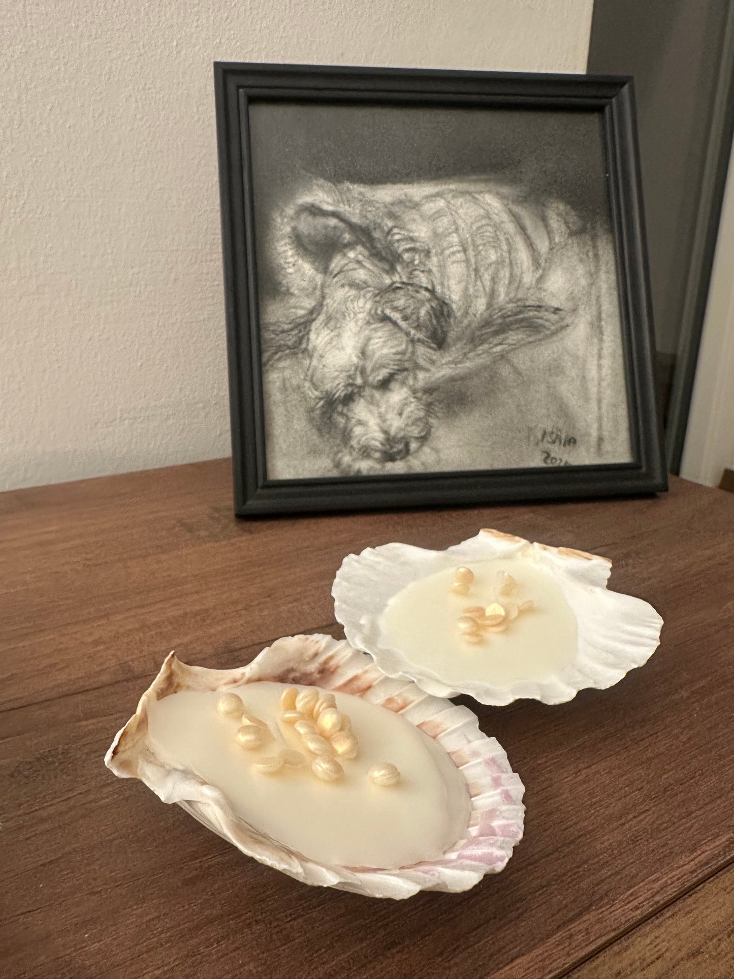 “La conchiglia con le perle”