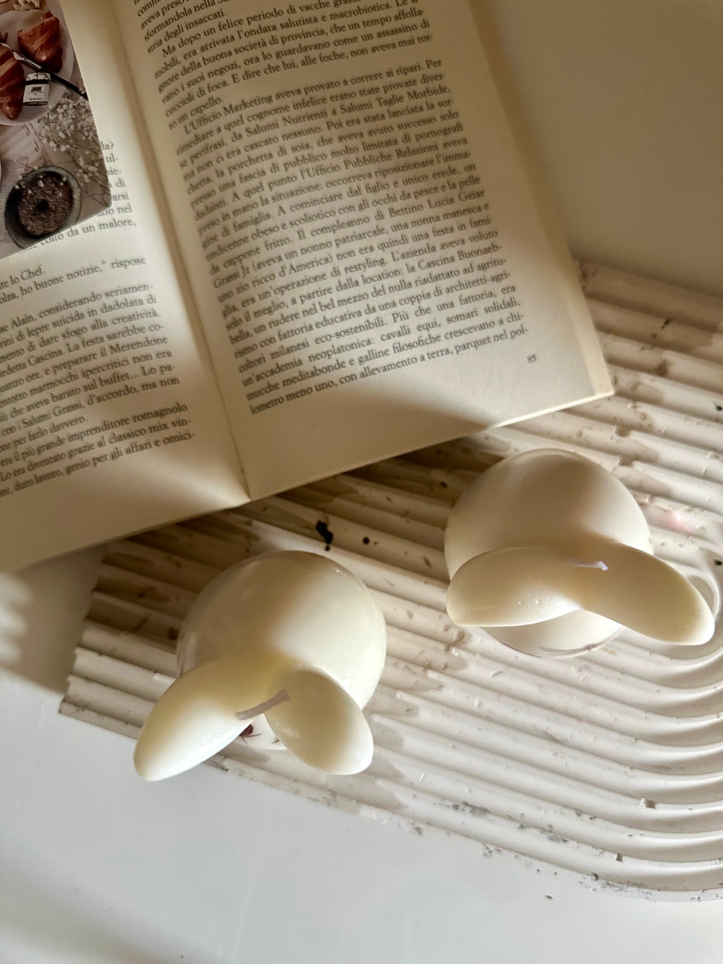 “Box flower eggs”